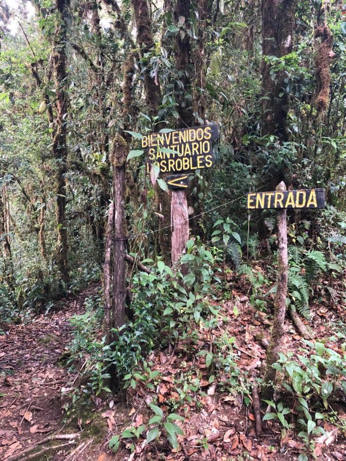 Cabana De Montana La Magnolia, Cerro De La Muerte De La Canuela Cloud Forest Tres de Junio Exterior foto